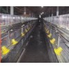雞籠生產(chǎn)廠家,肉雞籠廠家,雞籠設(shè)備廠家